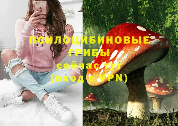 бошки Абинск